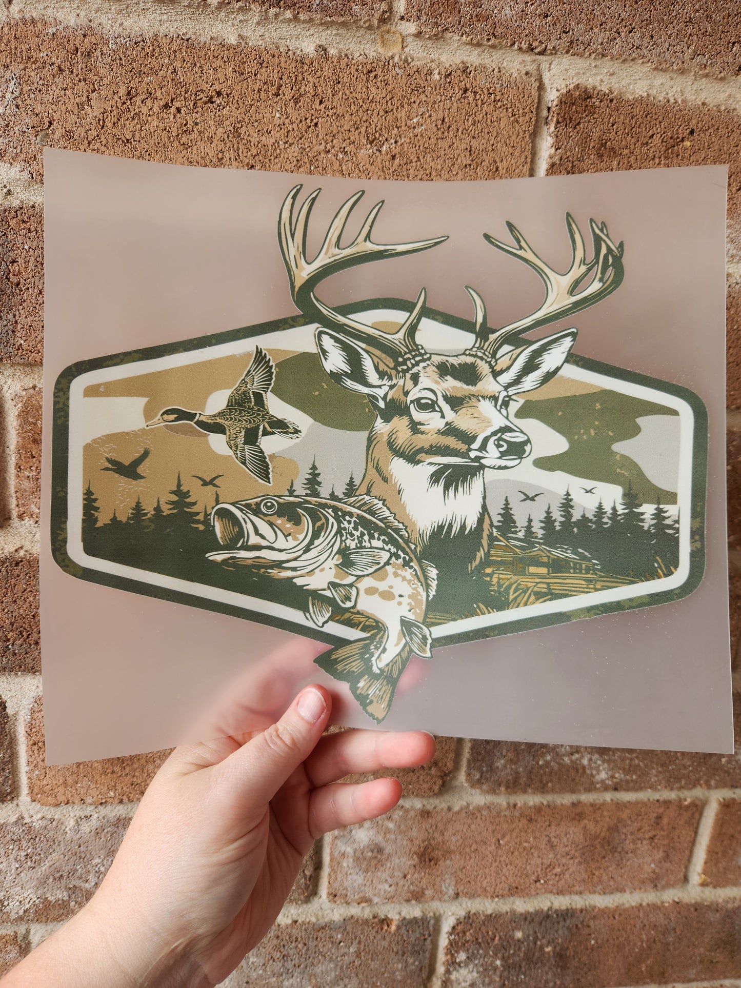 Deer & Fishing