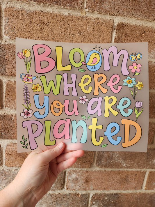 Bloom where you are planted
