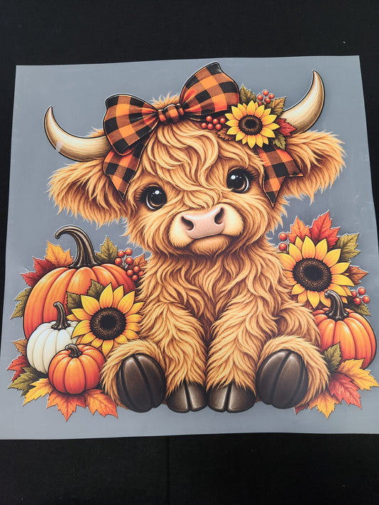 Fall Cow