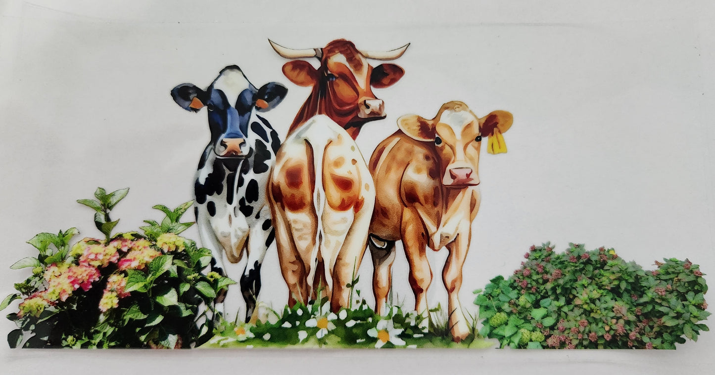 Animals