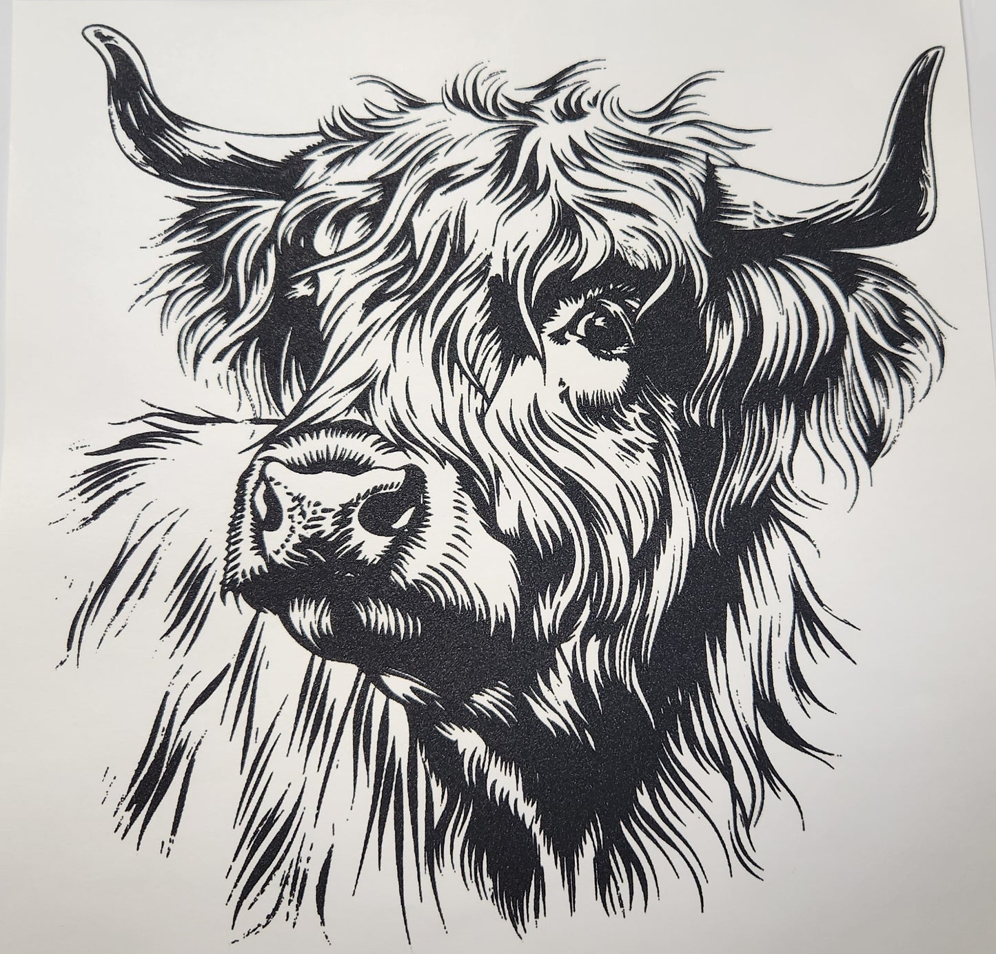 Black Cow
