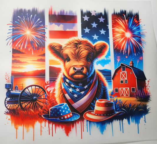 Independence Cow