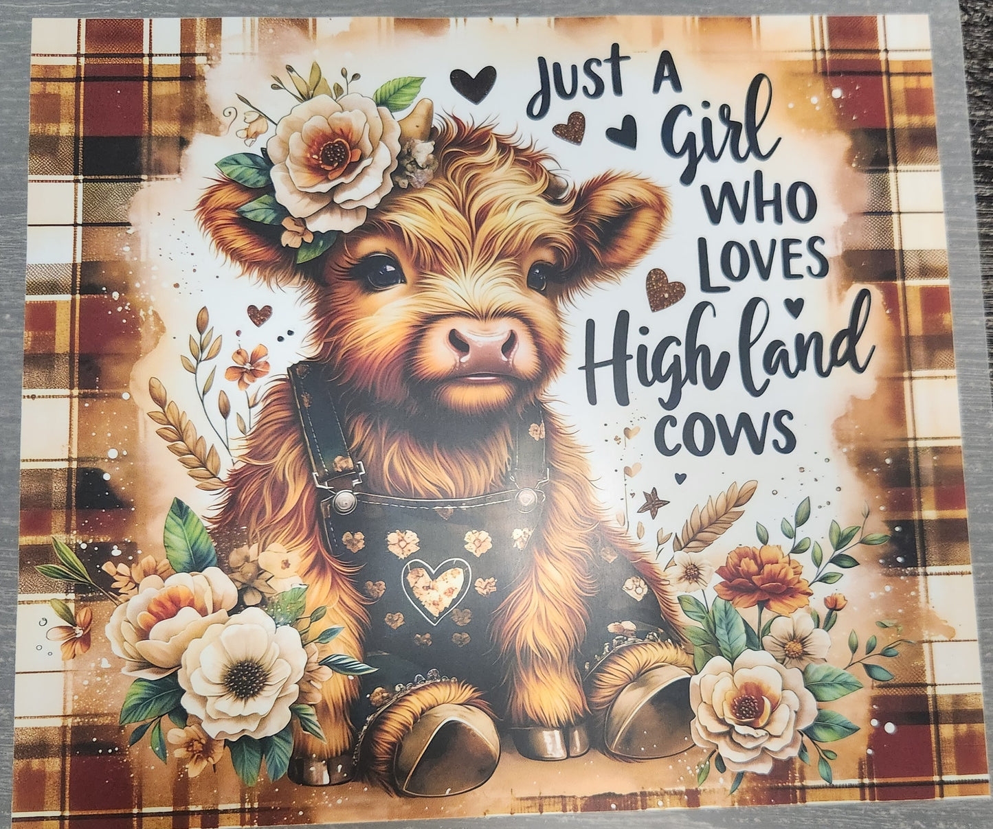 A girl who loves Highland Cows