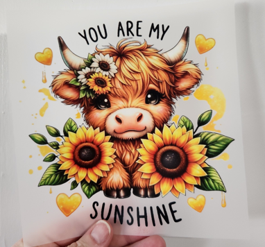 You are my sunshine